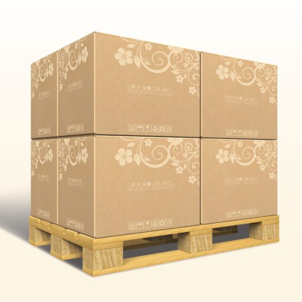 Cajas de cartón Laura Baudel